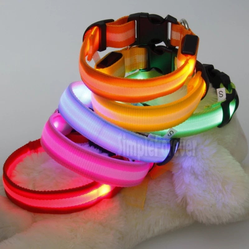 led glowing night safety collar