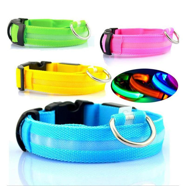 led glowing night safety collar