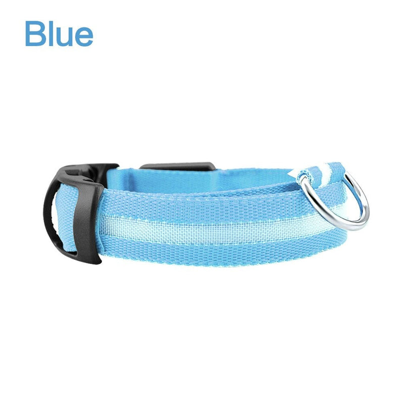 led glowing night safety collar