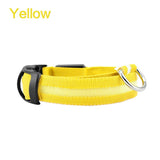 led glowing night safety collar