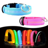 led glowing night safety collar