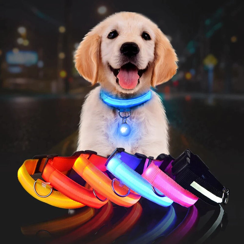 led glowing night safety collar