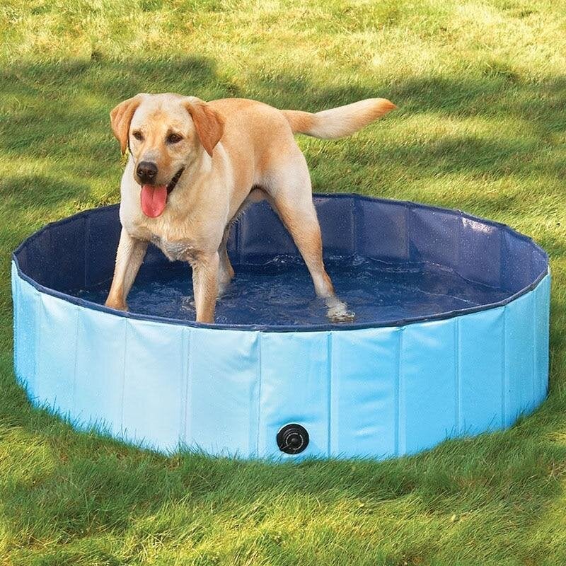 foldable swimming pool