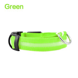 led glowing night safety collar