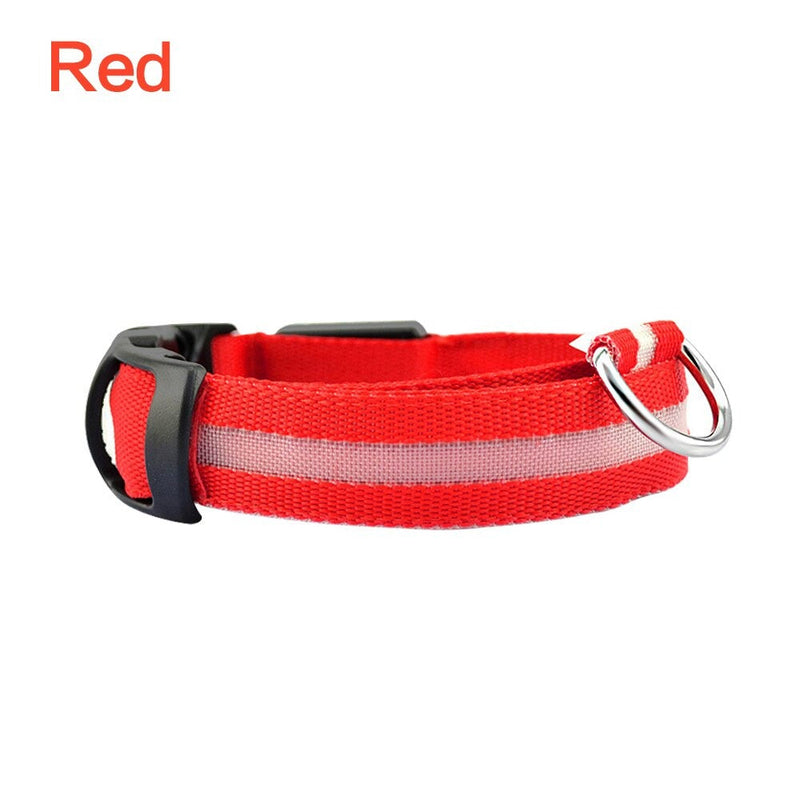 led glowing night safety collar